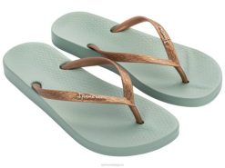 vrouwen anatomica bruin 21 Ipanema gouden munt schoenen 2L4N32